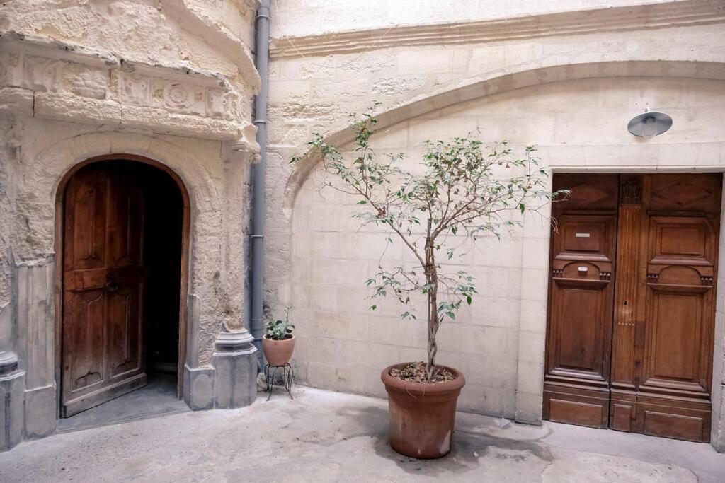 Noa - Mont Piete Studio Intramuros - Avignon Kültér fotó
